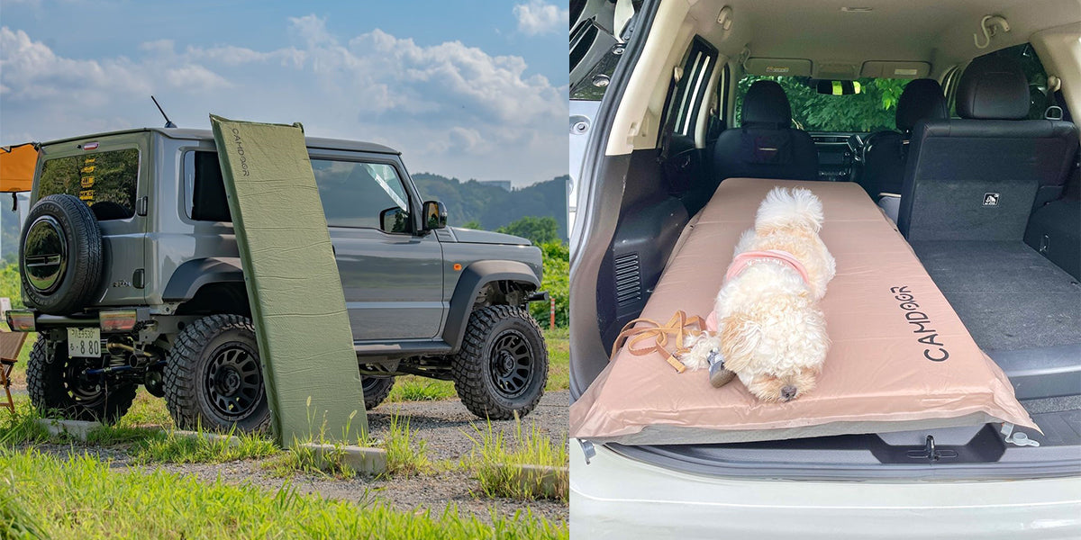 春の車中泊キャンプを快適に!車内でしっかり眠るための工夫とは?